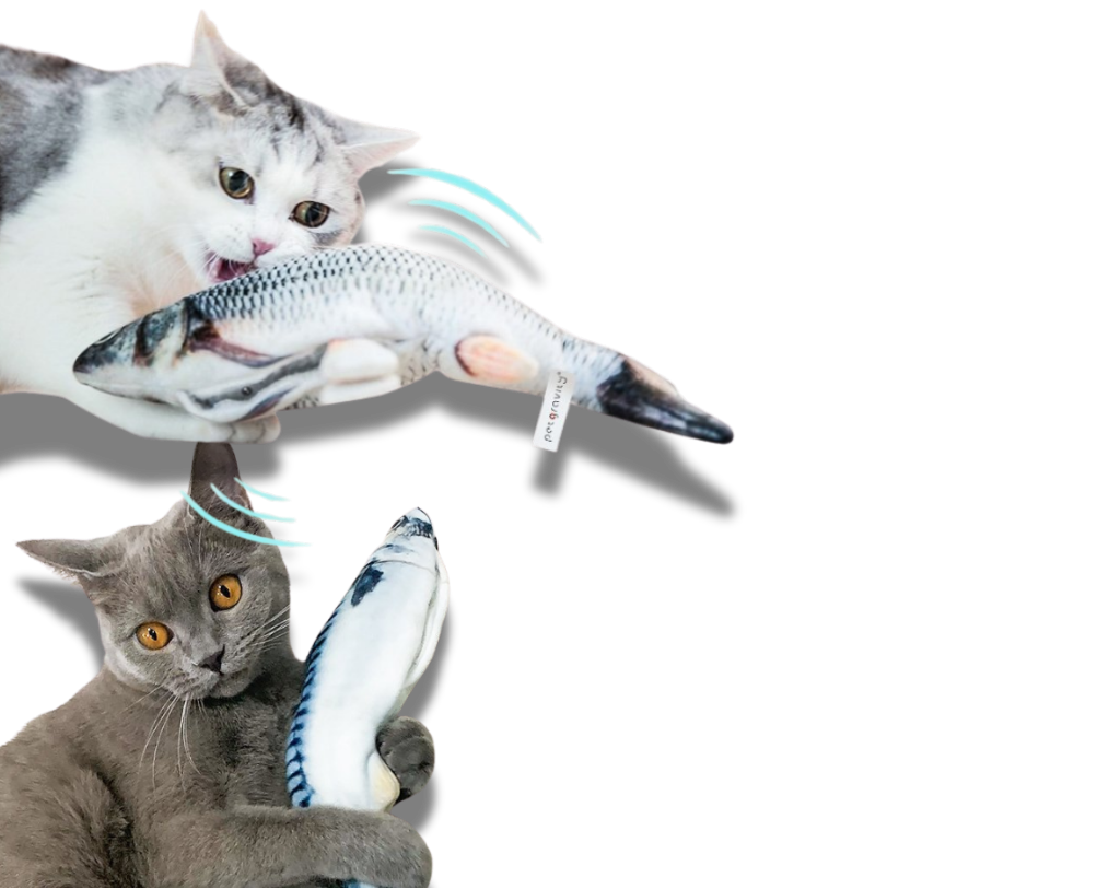 Feature product image